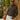 Appearance-An-Ivy-Linen-Shirt-Skjorte-Brun-Brown-Button-Down-Sommer-Maend-Herre-Men-Summer-Hoer-Afslappet-Casual-Sommer-fritid-arbejde-kontor-Casual
