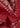 Appearance-An-Ivy-Carmine-Flower-Paisley-Bandana-Scarf-Bomuld-Cotton-Herre-Maend-Men