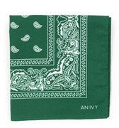 AN IVY Pocket square Green Bandana Pocket