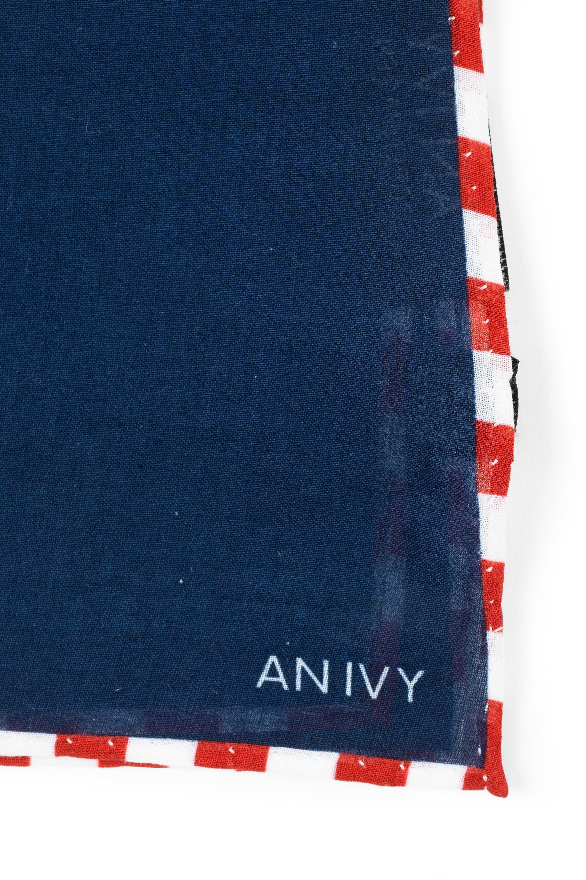 An ivy Pocket square Tricolore Borders Navy